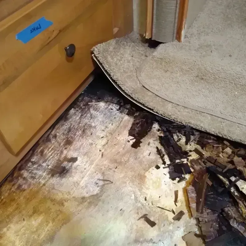 Best Wood Floor Water Damage Service in Longview, NC